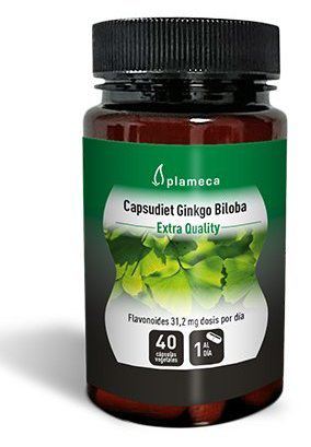 Plameca Ginkgo Biloba Kapsudiet 40 Kapseln
