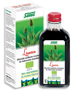 Salus Wegerich-Saft 200ml. Schoenenberger