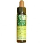 Mustard plantis n&ordm; 21 10 ml