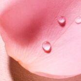 Very Rose Agua Voluptuosa Perfumada 100&nbsp;ml